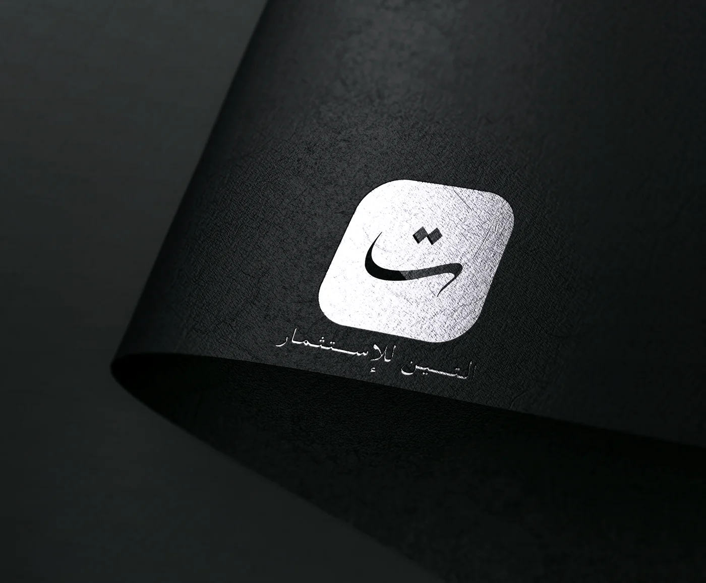 ALTEN's original silver and black investment company identity